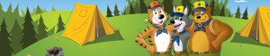 cub_banner